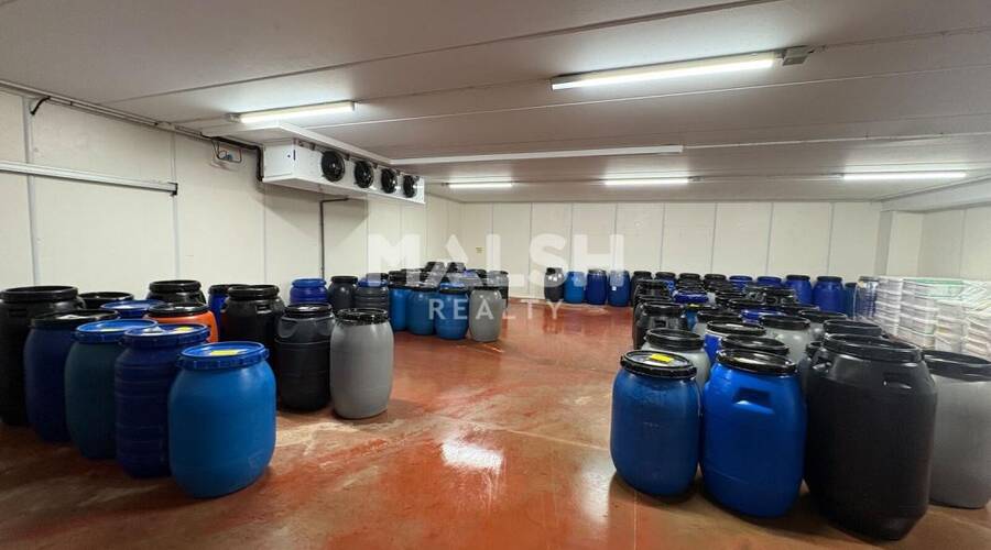 MALSH Realty & Property - Local d'activités - Montagny - 4