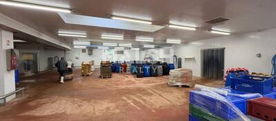 MALSH Realty & Property - Local d'activités - Montagny - 5