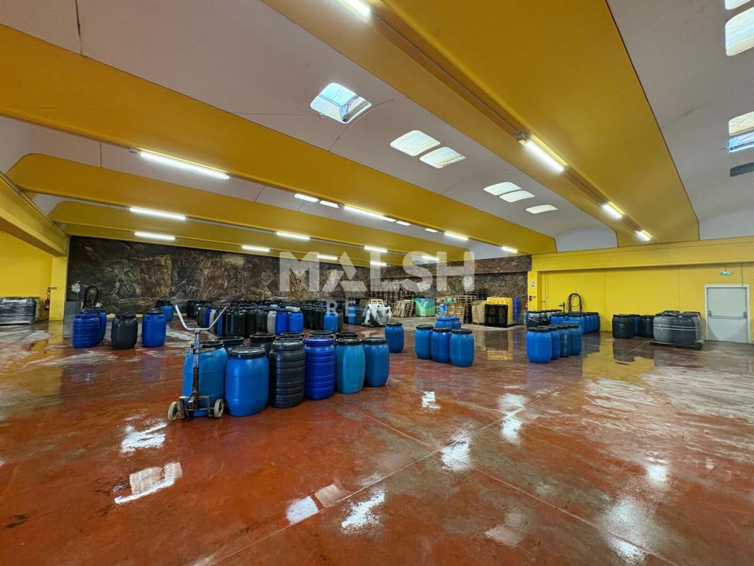 MALSH Realty & Property - Local d'activités - Montagny - 3