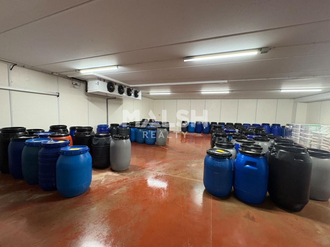 MALSH Realty & Property - Local d'activités - Montagny - 4