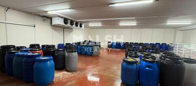 MALSH Realty & Property - Local d'activités - Montagny - 4