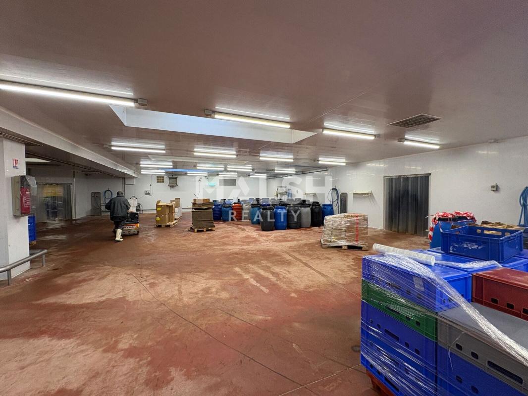 MALSH Realty & Property - Local d'activités - Montagny - 5