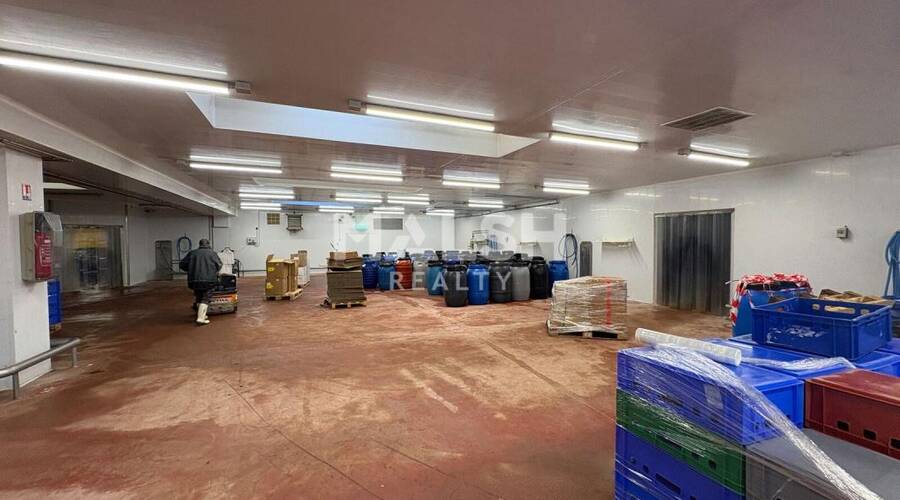 MALSH Realty & Property - Local d'activités - Montagny - 5