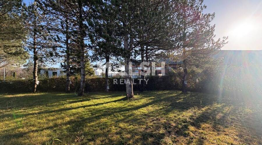 MALSH Realty & Property - Local d'activités - Montagny - 17