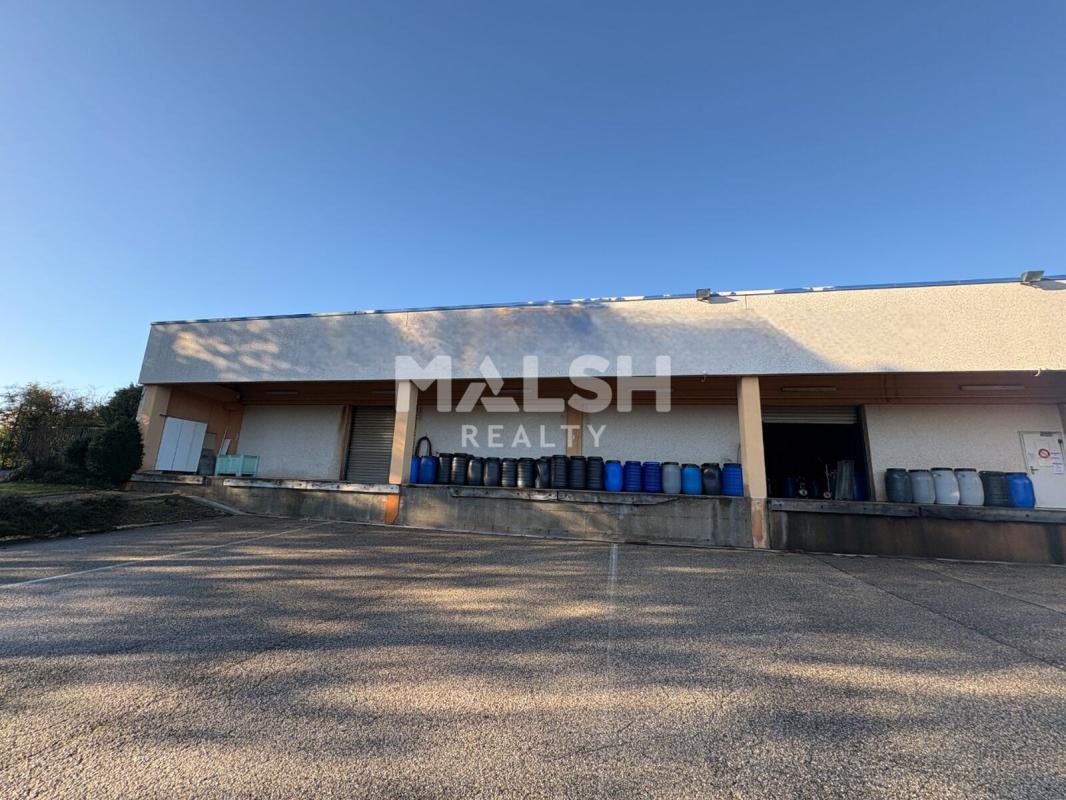 MALSH Realty & Property - Local d'activités - Montagny - 19