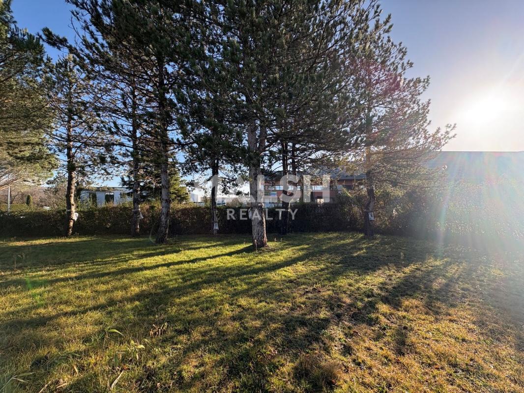 MALSH Realty & Property - Local d'activités - Montagny - 17