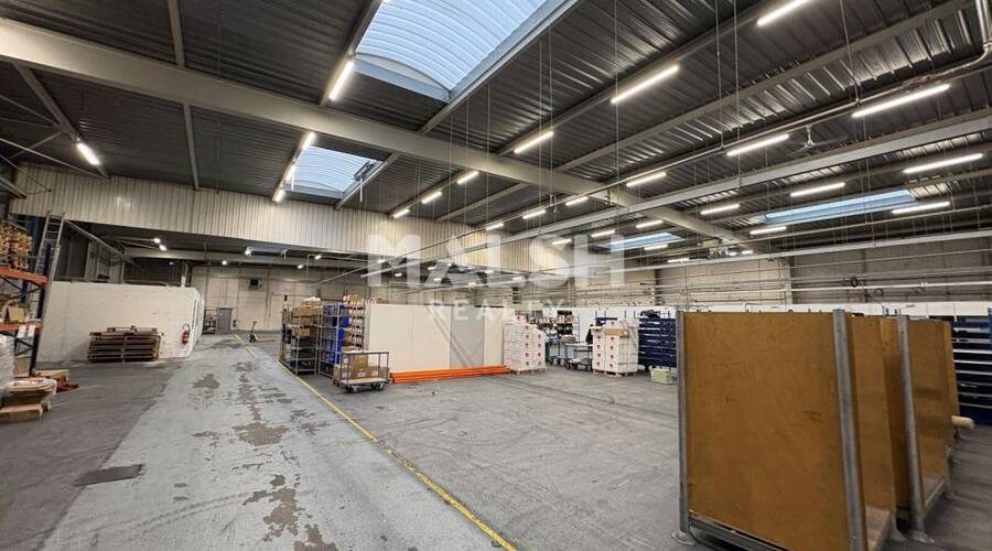 MALSH Realty & Property - Local d'activités - Carré de Soie / Grand Clément / Bel Air - Villeurbanne - 7