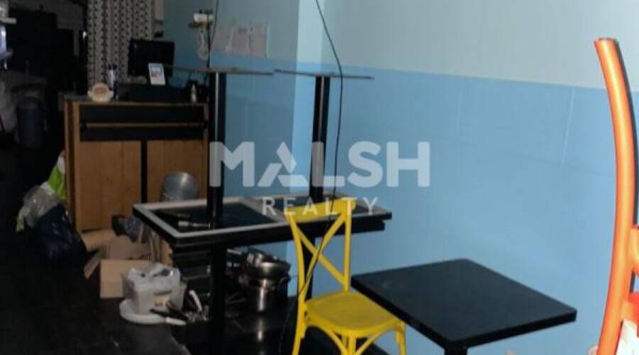 MALSH Realty & Property - Local commercial - Lyon Nord Est (Rhône Amont) - Décines-Charpieu - 2