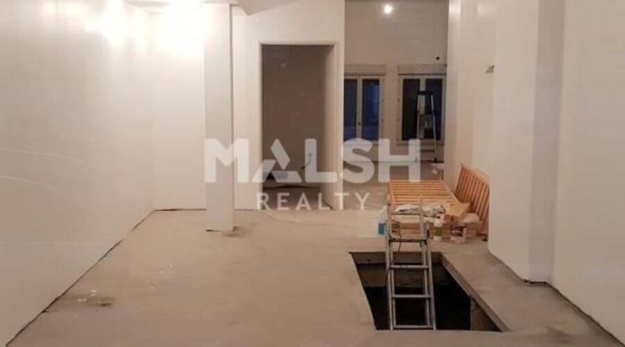 MALSH Realty & Property - Local commercial - Lyon Nord Est (Rhône Amont) - Décines-Charpieu - 3