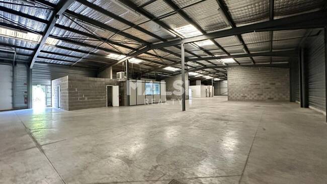 MALSH Realty & Property - Local d'activités - Extérieurs NORD (Villefranche / Belleville) - Saint-Georges-de-Reneins - 1
