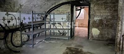 MALSH Realty & Property - Local commercial - Lyon 1 - Lyon 1 - 12