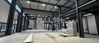 MALSH Realty & Property - Local d'activités - Lyon Nord Est (Rhône Amont) - Meyzieu - 4