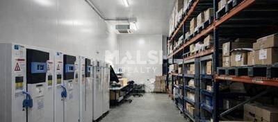 MALSH Realty & Property - Local d'activités - Lyon Sud Ouest - Grézieu-la-Varenne - 3