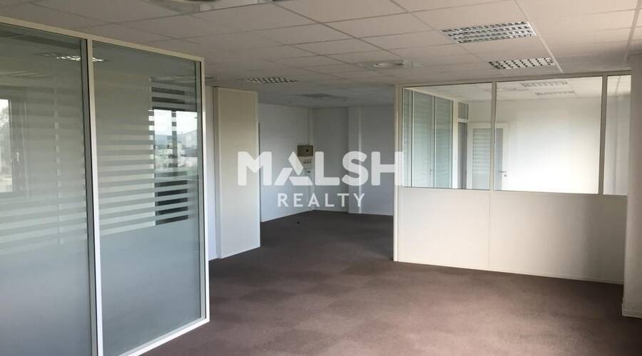 MALSH Realty & Property - Bureau - Nord Isère ( Ile d'Abeau / St Quentin Falavier ) - Saint-Quentin-Fallavier - 2