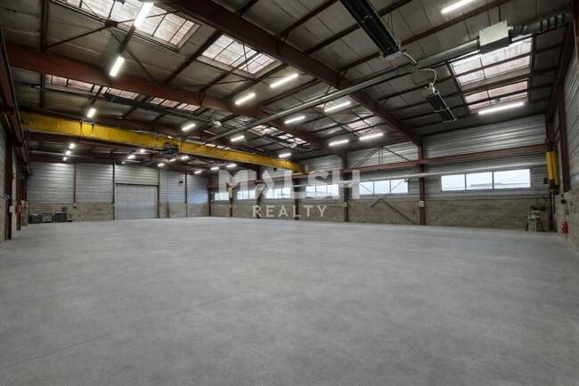 MALSH Realty & Property - Local d'activités - Lyon Nord Ouest (Techlid / Monts d'Or) - Champagne-au-Mont-d'Or - 1