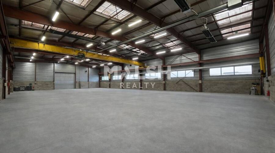 MALSH Realty & Property - Local d'activités - Lyon Nord Ouest (Techlid / Monts d'Or) - Champagne-au-Mont-d'Or - 1