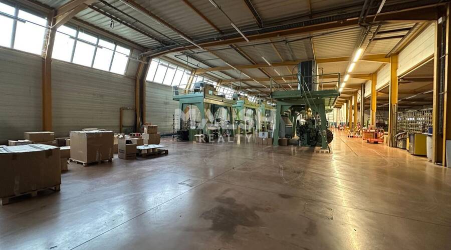 MALSH Realty & Property - Local d'activités - Extérieurs NORD (Villefranche / Belleville) - Saint-André-de-Corcy - 3