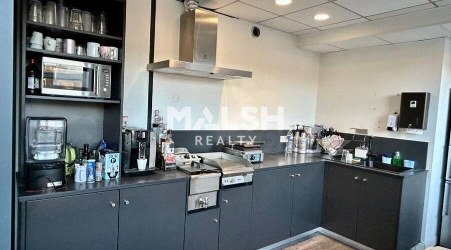 MALSH Realty & Property - Bureau - Lyon Nord Ouest (Techlid / Monts d'Or) - Tassin-la-Demi-Lune - 9