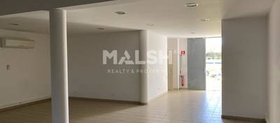 MALSH Realty & Property - Commerce - Extérieurs SUD  (Vallée du Rhône) - Chonas-l'Amballan - 1