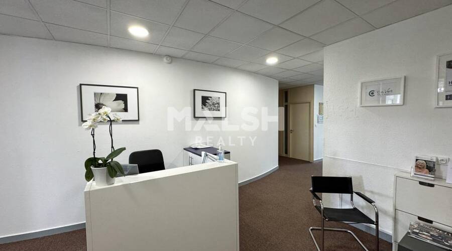 MALSH Realty & Property - Bureau - Saint Etienne - Saint-Étienne - 1