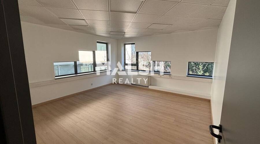 MALSH Realty & Property - Bureau - Lyon Nord Ouest (Techlid / Monts d'Or) - Tassin-la-Demi-Lune - 7