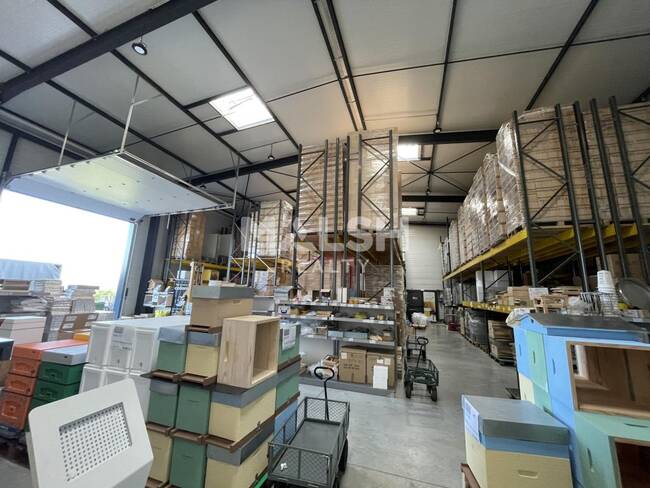 MALSH Realty & Property - Local d'activités - Lyon Nord Ouest (Techlid / Monts d'Or) - Chasselay - 1