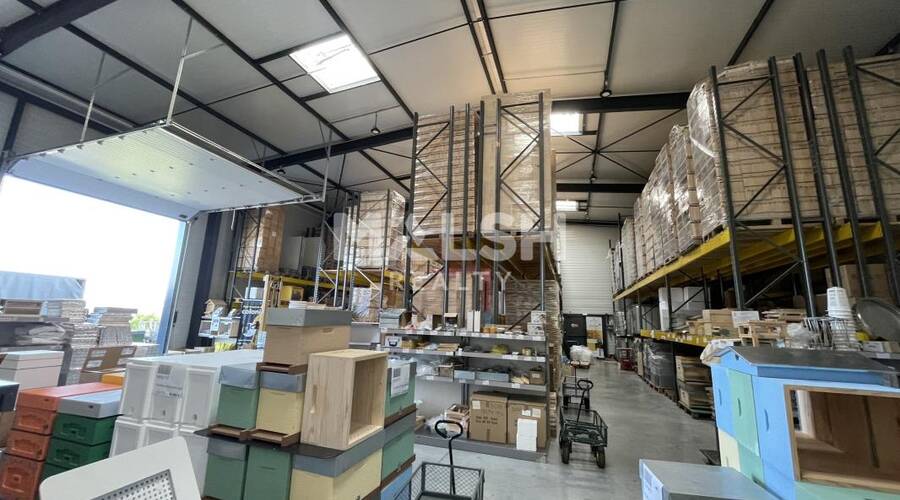 MALSH Realty & Property - Local d'activités - Lyon Nord Ouest (Techlid / Monts d'Or) - Chasselay - 1