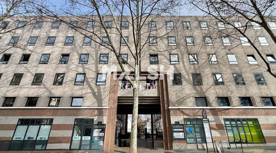 MALSH Realty & Property - Bureau - Carré de Soie / Grand Clément / Bel Air - Villeurbanne - 1