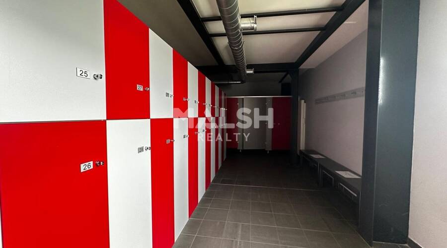 MALSH Realty & Property - Local d'activités - Côtière (Ain/A42/Beynost/Dagneux/Montluel) - Miribel - 10