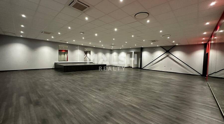 MALSH Realty & Property - Local d'activités - Côtière (Ain/A42/Beynost/Dagneux/Montluel) - Miribel - 6