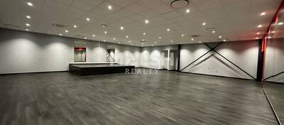 MALSH Realty & Property - Local d'activités - Côtière (Ain/A42/Beynost/Dagneux/Montluel) - Miribel - 6