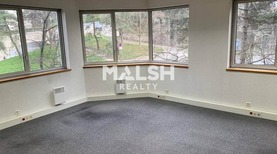 MALSH Realty & Property - Bureau - Lyon 4° - Lyon 4 - 8