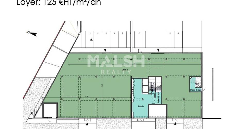 MALSH Realty & Property - Local d'activités - Lyon 7° / Gerland - Lyon 7 - 9
