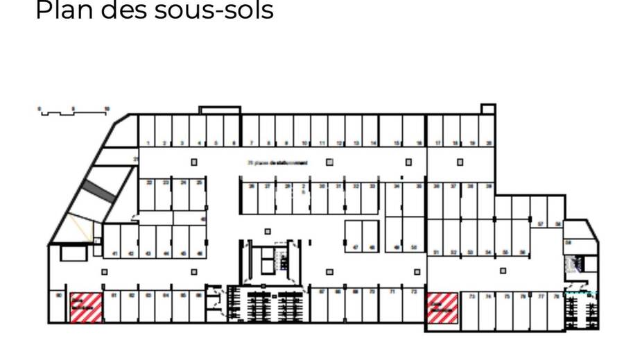 MALSH Realty & Property - Local d'activités - Lyon 7° / Gerland - Lyon 7 - 10