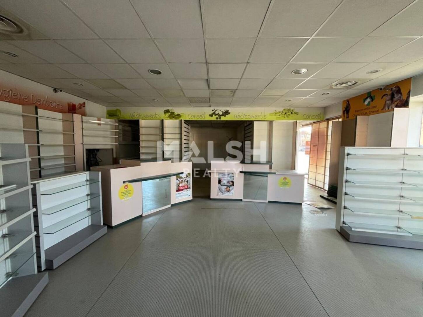 MALSH Realty & Property - Local commercial - Lyon Sud Ouest - Sainte-Foy-lès-Lyon - 2