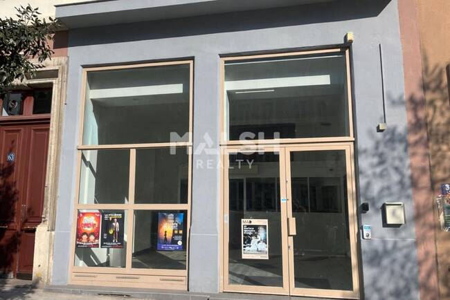 MALSH Realty & Property - Local commercial - Carré de Soie / Grand Clément / Bel Air - Villeurbanne - 1