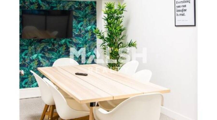 MALSH Realty & Property - Bureau - Carré de Soie / Grand Clément / Bel Air - Villeurbanne - 5