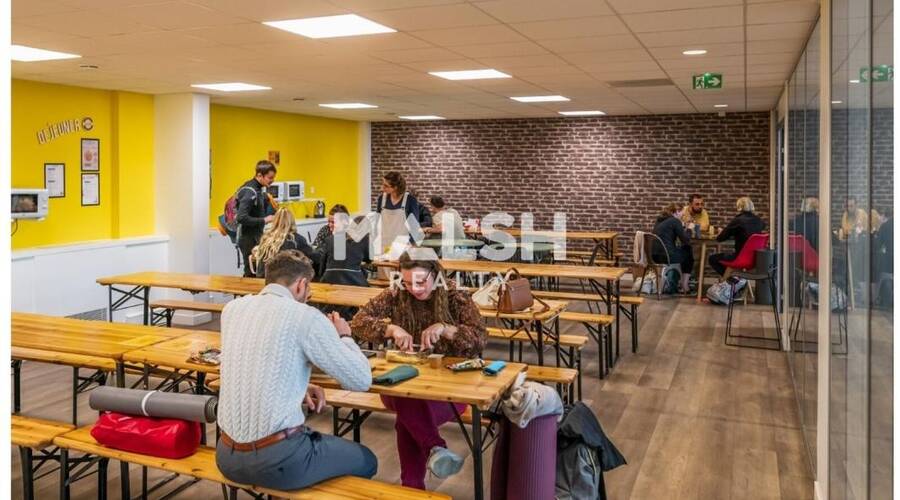 MALSH Realty & Property - Bureau - Carré de Soie / Grand Clément / Bel Air - Villeurbanne - 6