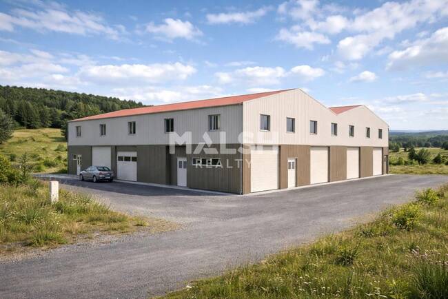 MALSH Realty & Property - Local d'activités - Nord 42 - Violay - 1