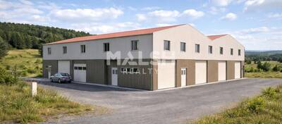 MALSH Realty & Property - Local d'activités - Nord 42 - Violay - 1