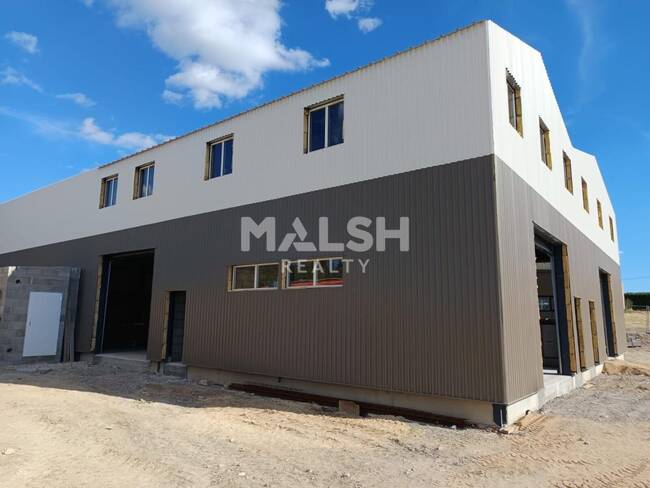 MALSH Realty & Property - Local d'activités - Nord 42 - Violay - 1
