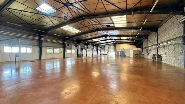 MALSH Realty & Property - Local d'activités - Côtière (Ain/A42/Beynost/Dagneux/Montluel) - Miribel - 1