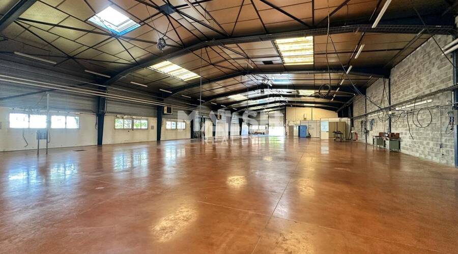 MALSH Realty & Property - Local d'activités - Côtière (Ain/A42/Beynost/Dagneux/Montluel) - Miribel - 1
