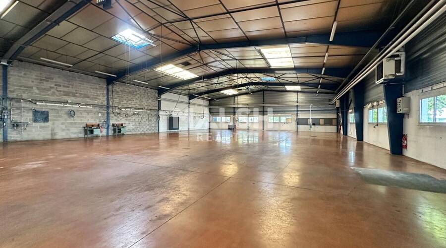 MALSH Realty & Property - Local d'activités - Côtière (Ain/A42/Beynost/Dagneux/Montluel) - Miribel - 4
