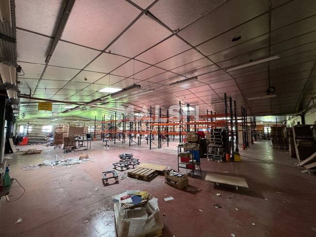 MALSH Realty & Property - Local d'activités - Saint-Etienne Métropole - Saint-Galmier - 1