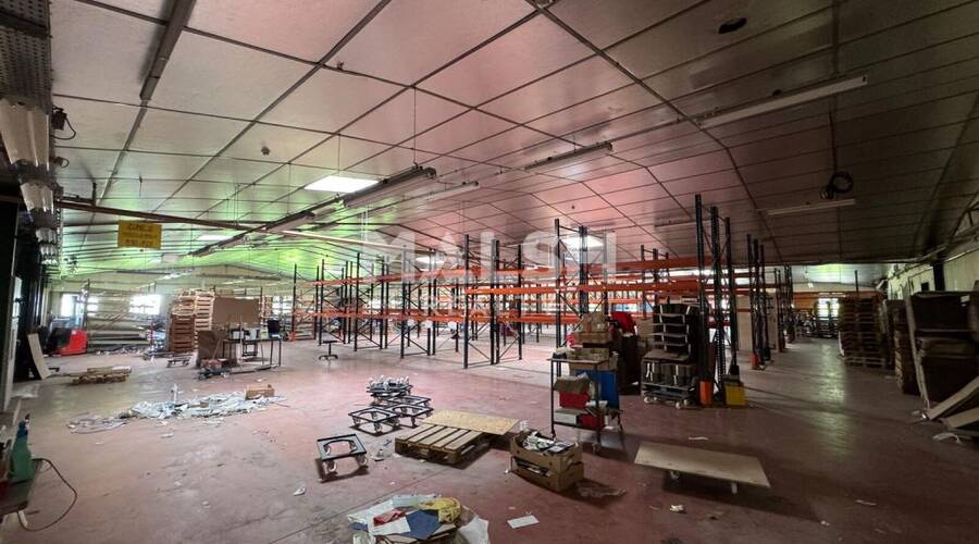 MALSH Realty & Property - Local d'activités - Saint-Etienne Métropole - Saint-Galmier - 1