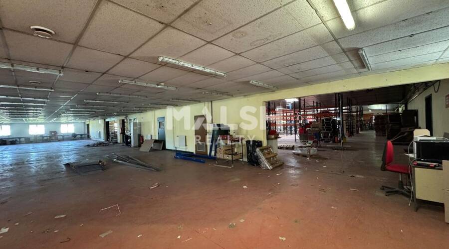 MALSH Realty & Property - Local d'activités - Saint-Etienne Métropole - Saint-Galmier - 3