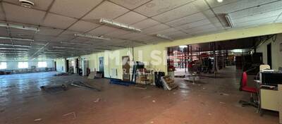 MALSH Realty & Property - Local d'activités - Saint-Etienne Métropole - Saint-Galmier - 3