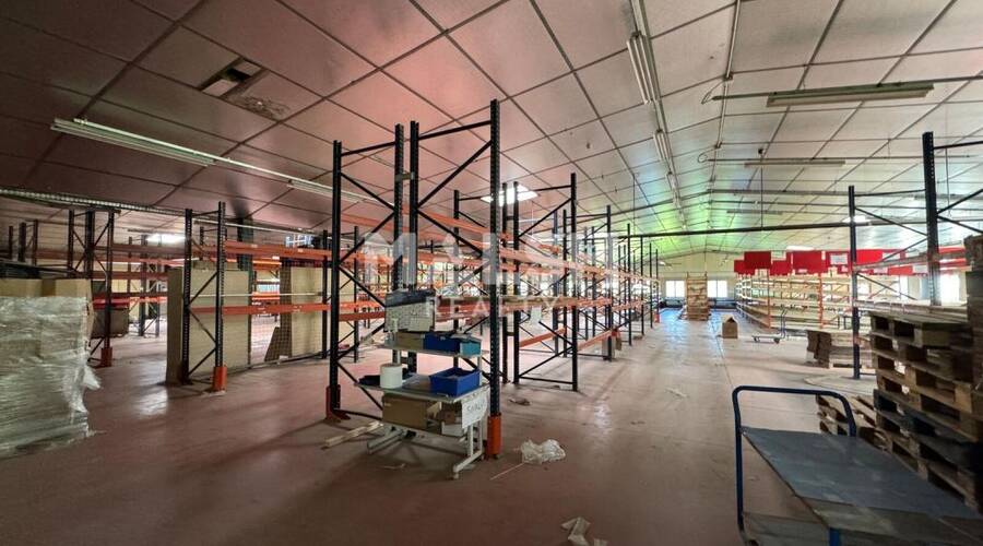 MALSH Realty & Property - Local d'activités - Saint-Etienne Métropole - Saint-Galmier - 4