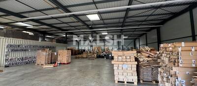 MALSH Realty & Property - Local d'activités - Andrézieux-Bouthéon - 3